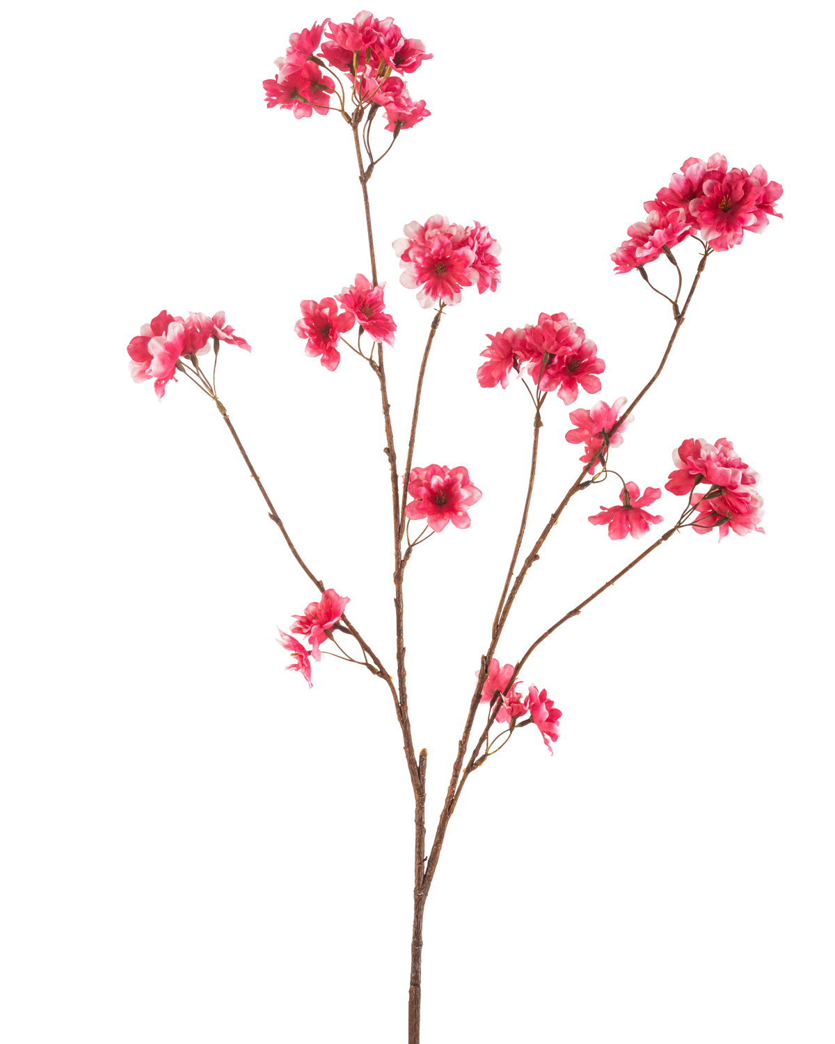 De Kunstbloem Kersenbloesem 114 cm fuchsia toont een enkele bruine tak met meerdere stelen, elk met clusters van levendige fuchsia kunstkerstbloesem bloemen tegen een effen witte achtergrond.