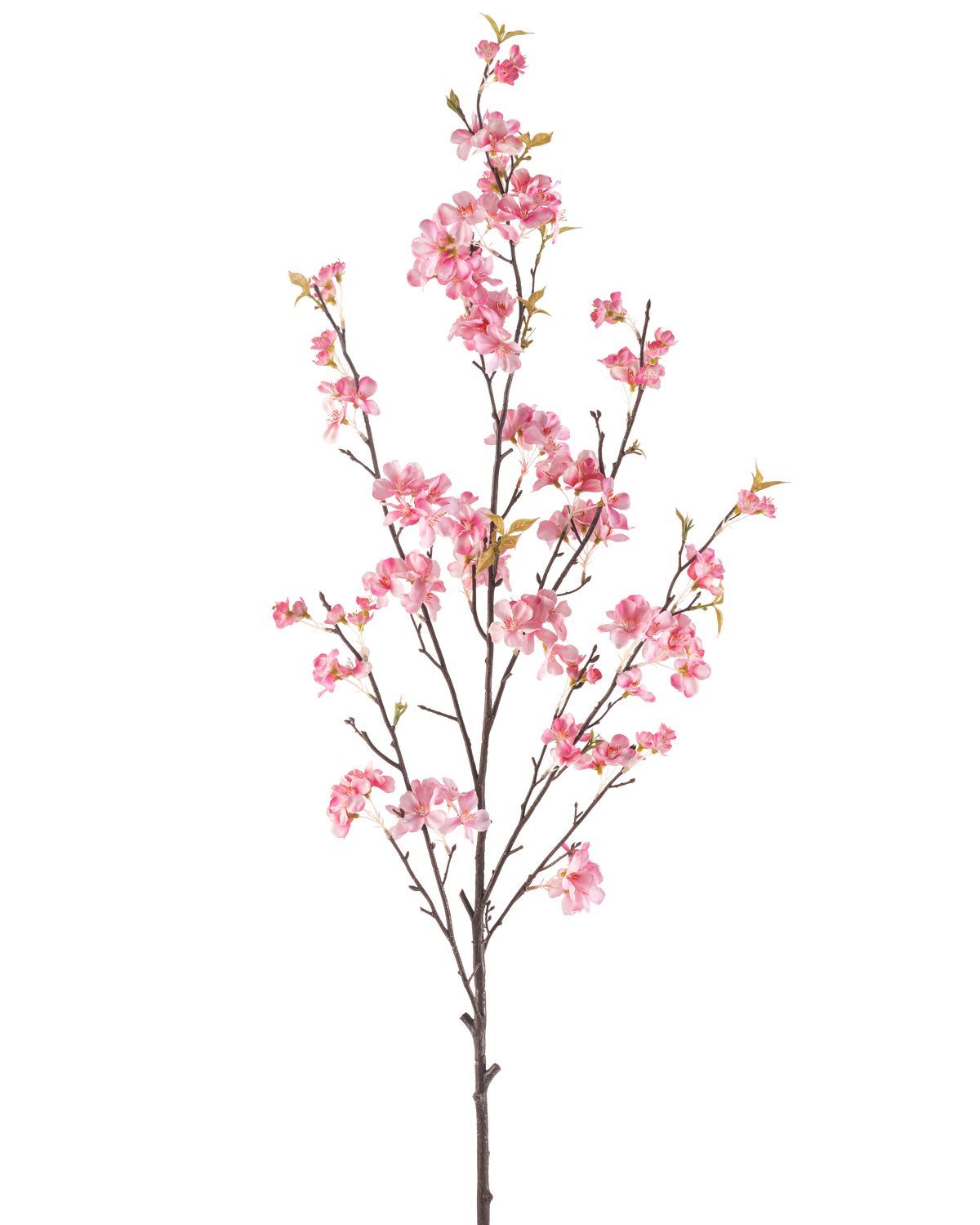 De Kunstbloem Kersenbloesem 150 cm roze heeft een enkele bruine tak met meerdere dunne stengels, versierd met trosjes delicate roze kersenbloesems en een paar groene bladeren, geïsoleerd op een witte achtergrond.