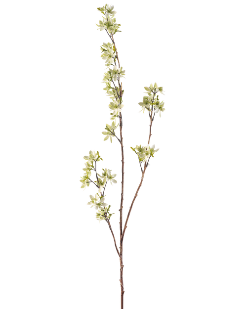 De Kunstbloem Bloemen 102 cm groen is een enkele, slanke bruine tak met verschillende uitlopers en kleine trosjes lichtgroene en witte bloemen tegen een effen witte achtergrond.