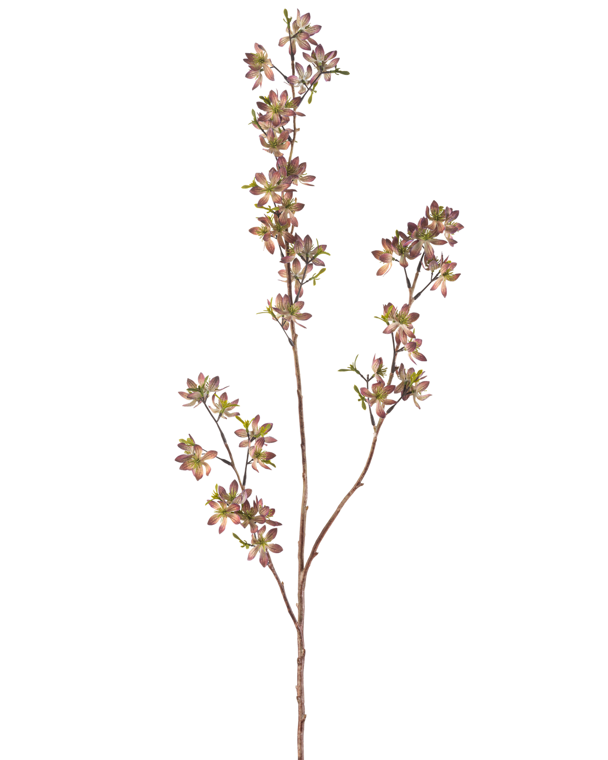 De Kunstbloem Bloemen 102 cm paars/groen heeft een enkele bruine stengel met meerdere takken, elk versierd met kleine gevlekte paarse en groene bladeren, tegen een effen witte achtergrond.
