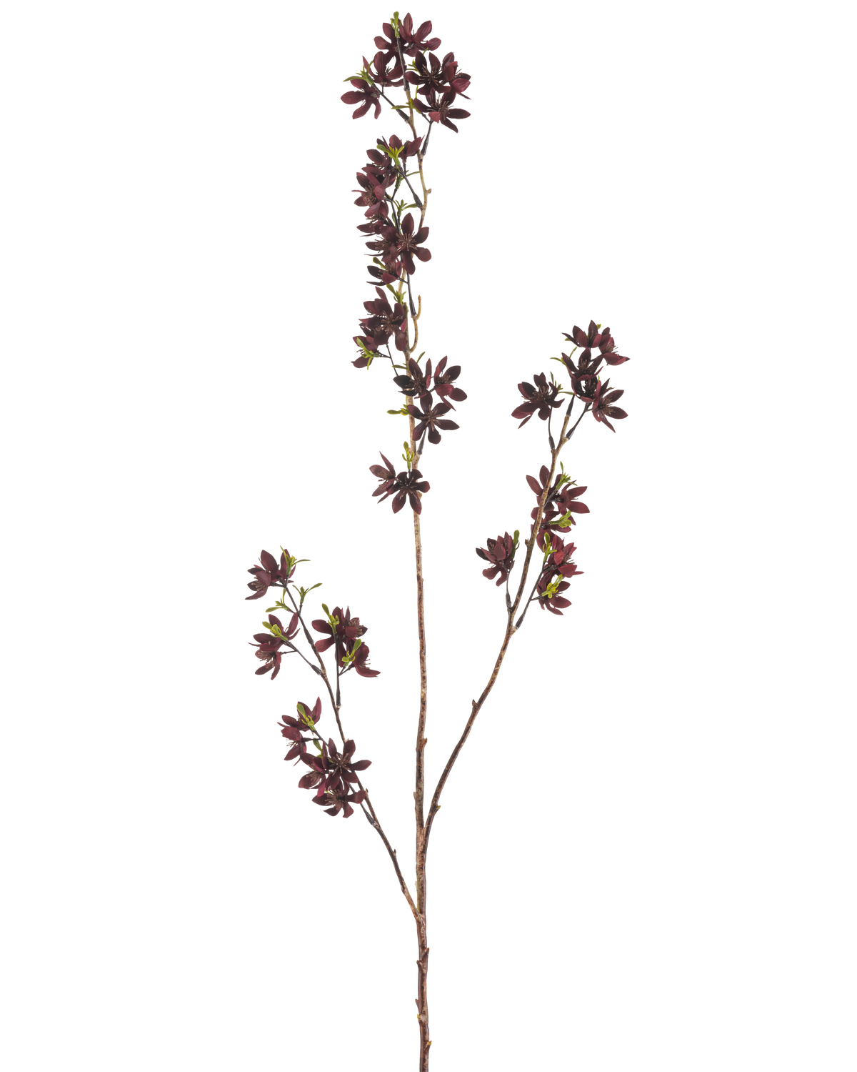 De Kunstbloem Bloemen 102 cm bordeaux heeft een hoge tak met verschillende dunne stelen, elk met kleine, donker bordeauxrode bloemen en een paar groene bladeren, tegen een effen witte achtergrond.