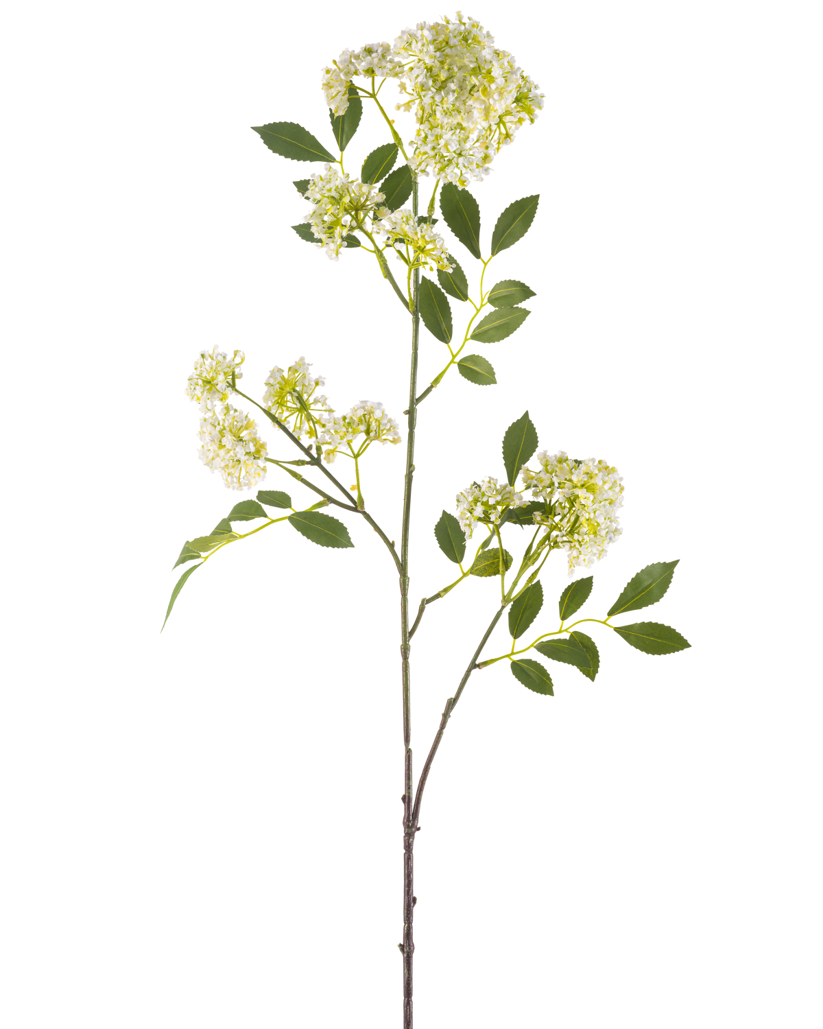 De Kunstbloem Wilde peen 102 cm crème heeft een enkele hoge steel met trosjes kleine crème bloemen en verschillende groene, gekartelde bladeren tegen een witte achtergrond.