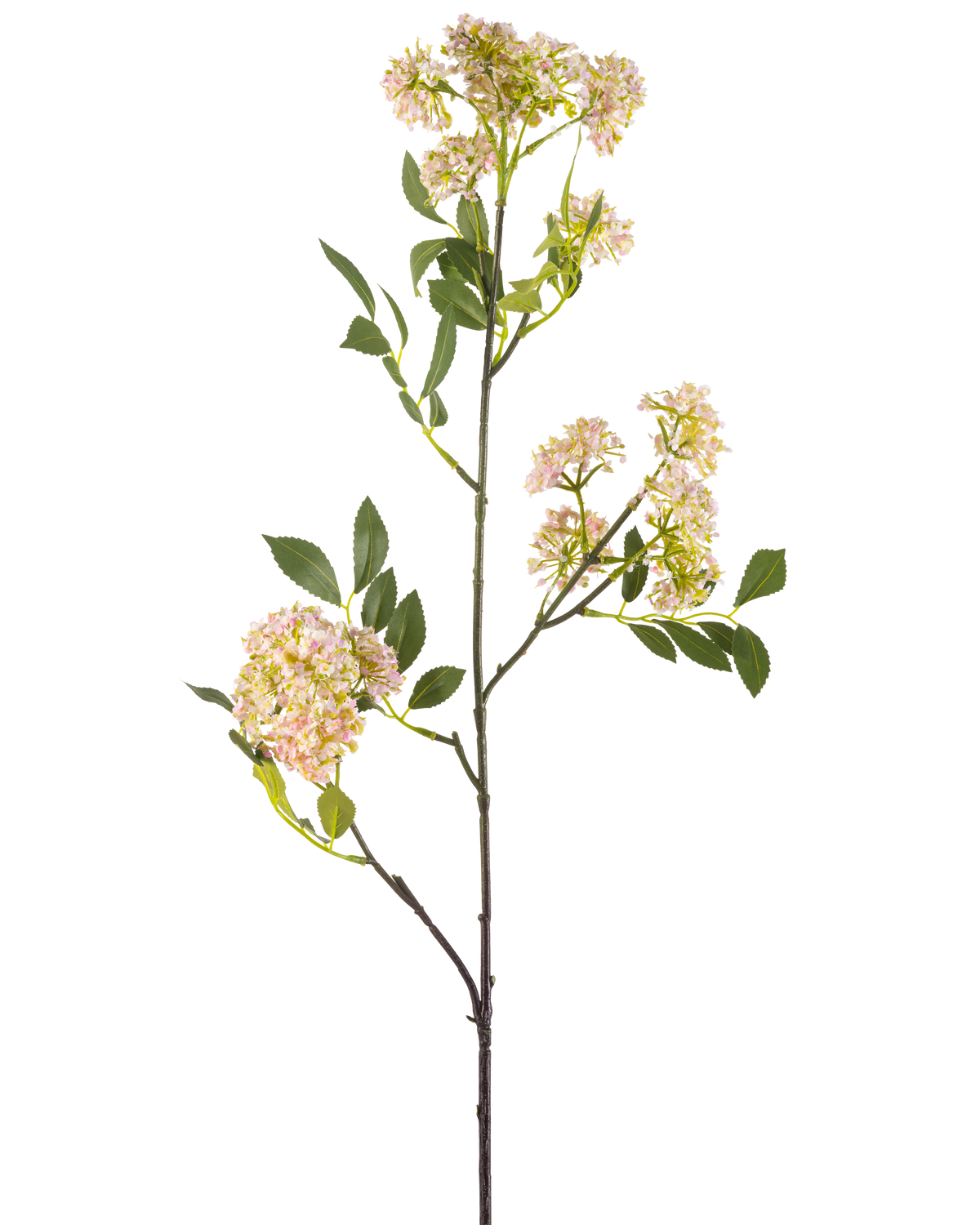 De Kunstbloem Wilde peen 102 cm paars heeft een lange, slanke stengel met trossen kleine paarse bloemen en groene bladeren, geïsoleerd op een witte achtergrond.