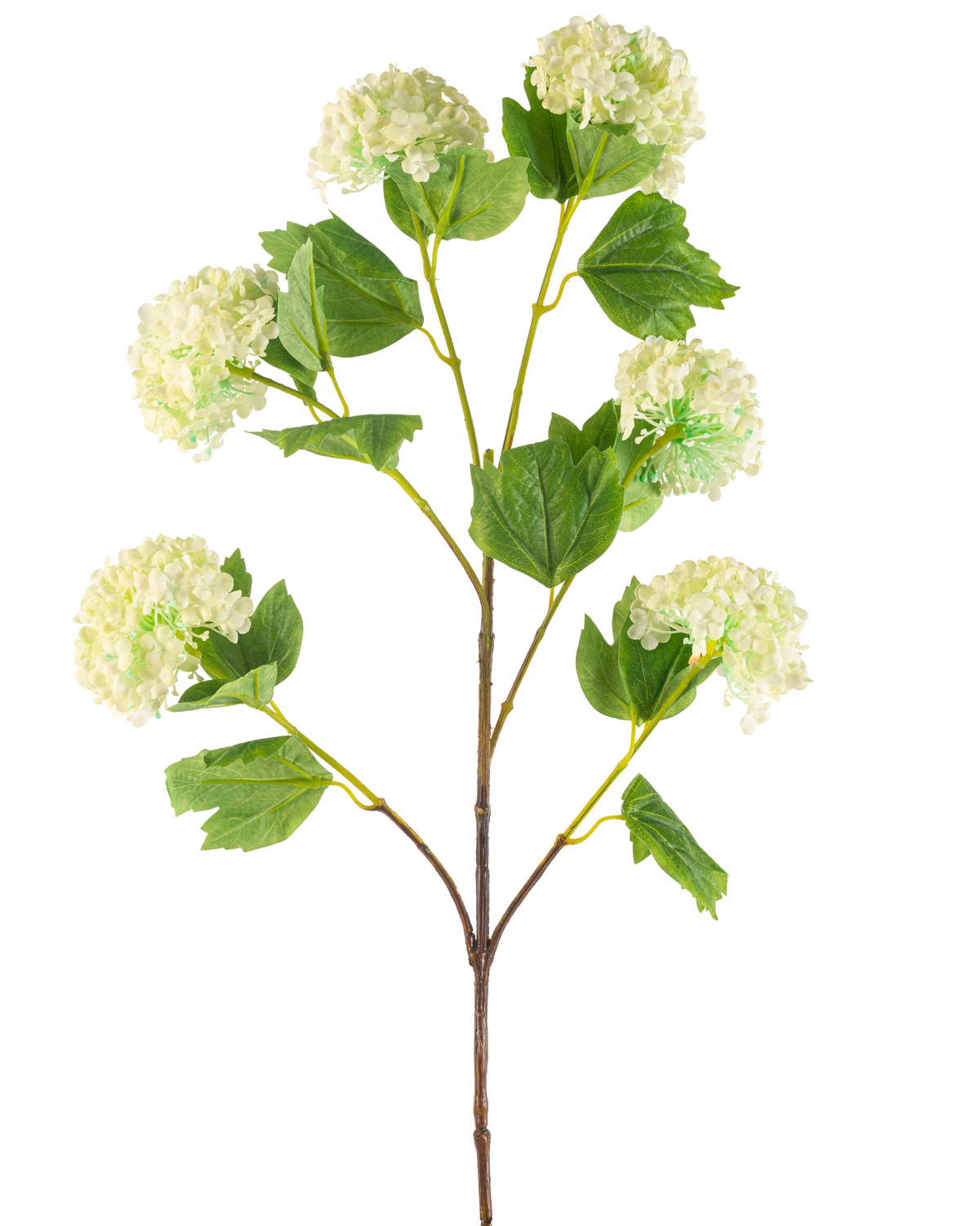 De Kunstbloem Sneeuwbal 94 cm groen heeft een enkele kunststengel met trosjes lichtgroene, hortensia-achtige bloemen en enkele groene bladeren, afgebeeld tegen een witte achtergrond.