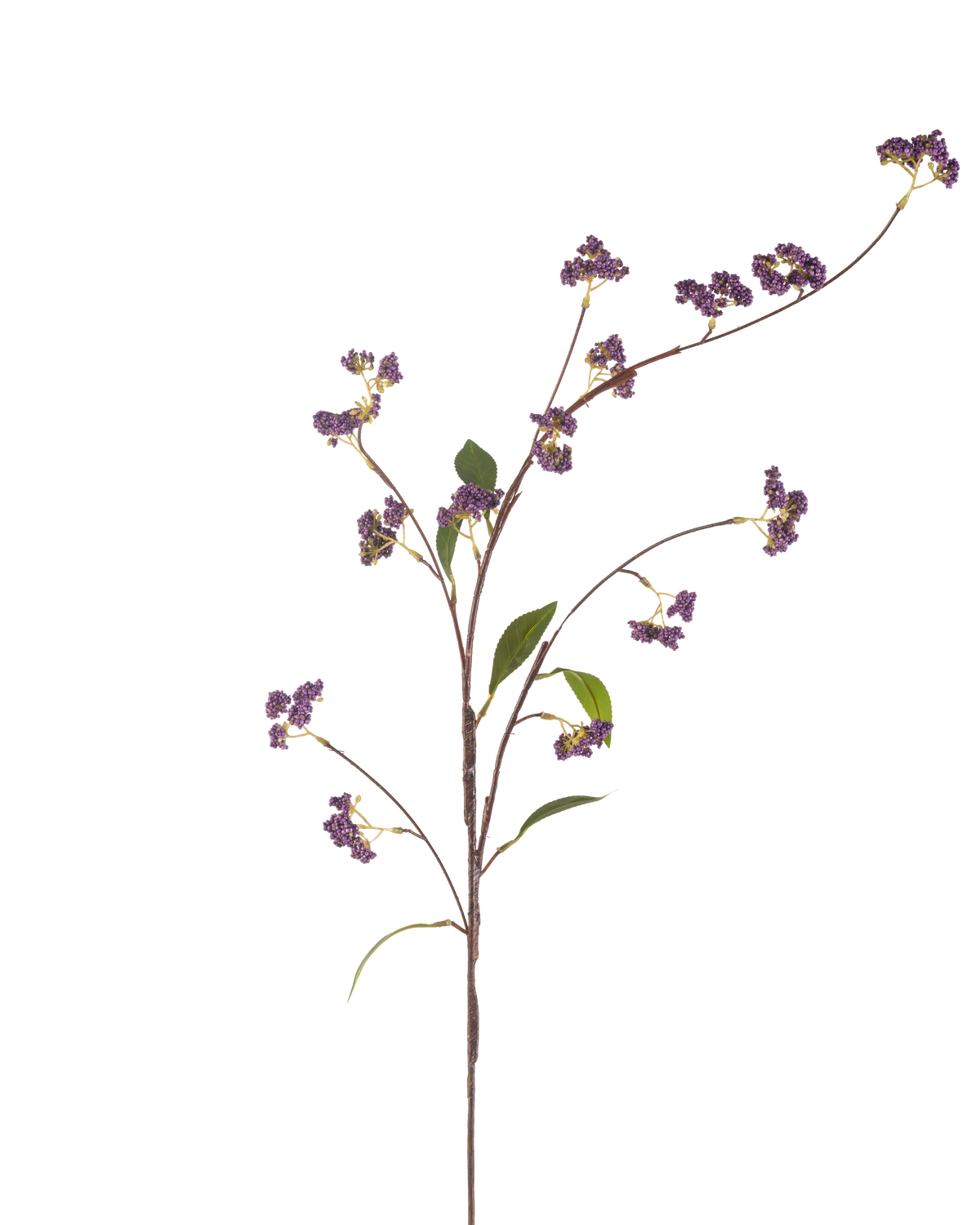 De Kunstbloem Bessen 95 cm paars heeft een enkele bruine stengel met meerdere takken, versierd met trossen paarse bessen en enkele groene bladeren, perfect geïsoleerd op een witte achtergrond.