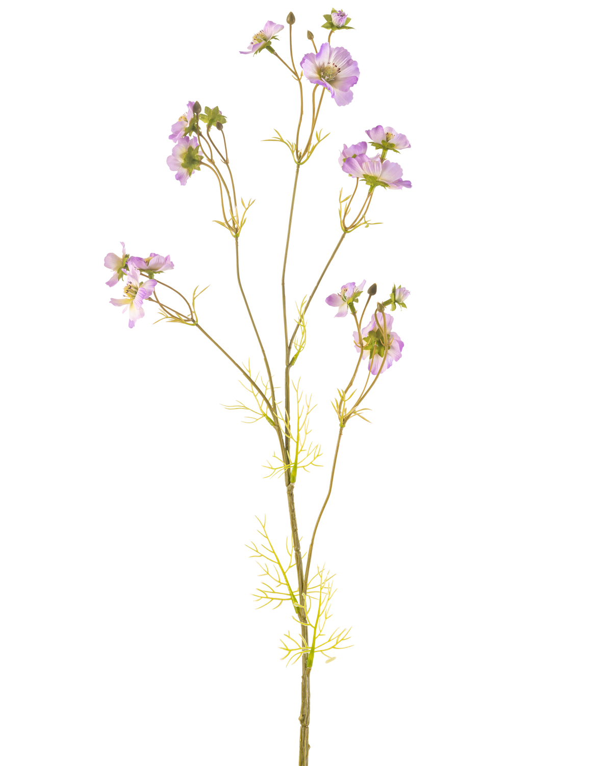 De Kunstbloem Cosmos 95 cm lila heeft een tere steel met meerdere lichtpaarse bloemen en kleine groene blaadjes, prachtig tegen een effen witte achtergrond.