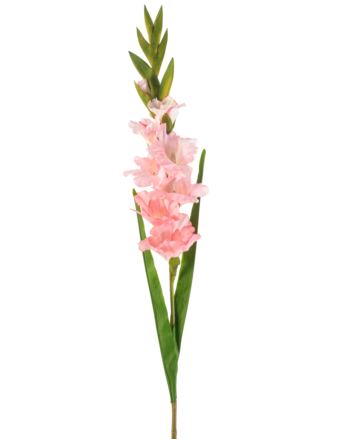 De Kunstbloem Gladiolen 93 cm roze heeft een enkele steel met meerdere zachtroze bloemen en lange groene bladeren, afgebeeld tegen een witte achtergrond.