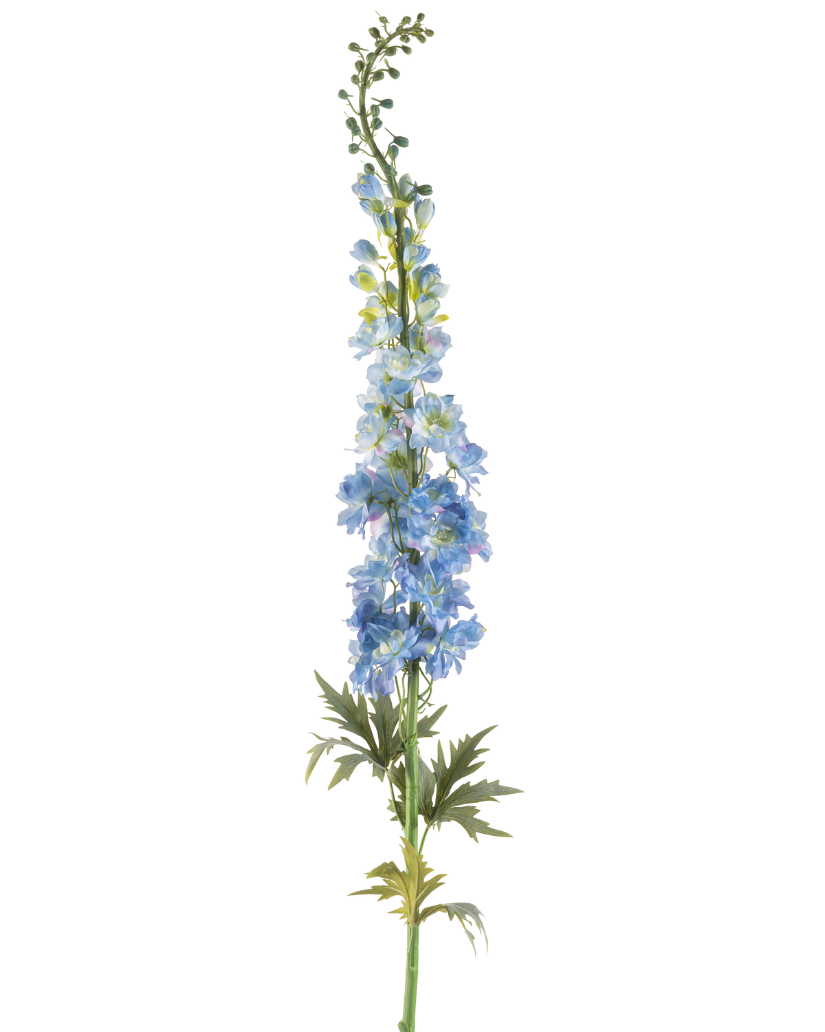 Een enkele steel van Kunstbloem Ridderspoor 137 cm donkerblauw, met meerdere donkerblauwe kunstbloesems en groene bladeren, gerangschikt langs de bovenste steel en tegen een witte achtergrond.
