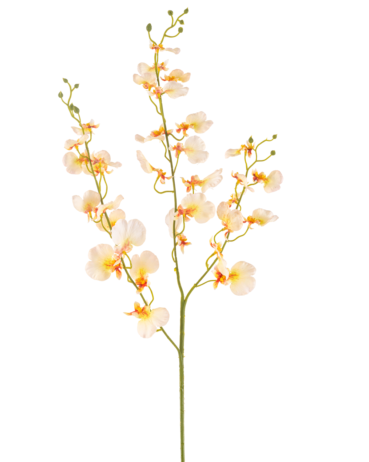 De Kunstbloem Orchidee 98 cm lichtgeel heeft een lange groene steel met meerdere takken en delicate lichtgele orchideeën, elk met een zacht oranje en rood hart, alles tegen een witte achtergrond.