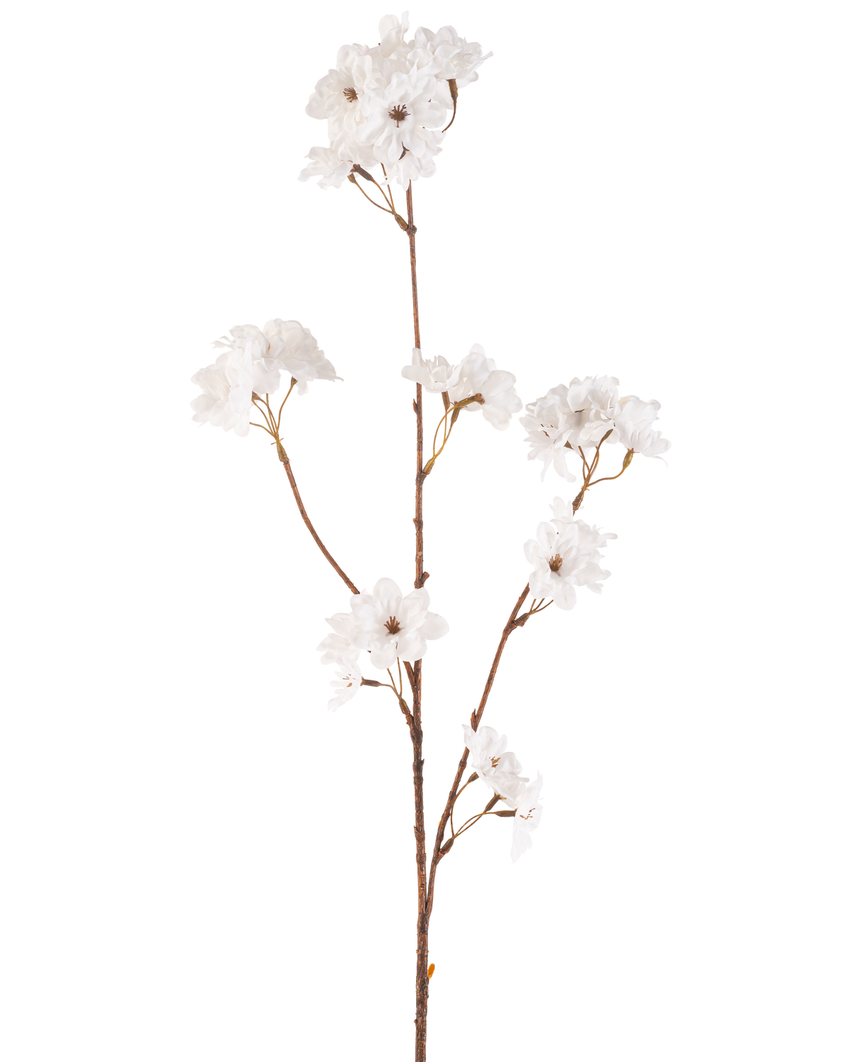De Kunstbloem Kersenbloesem 85 cm crème heeft een slanke bruine steel met meerdere takken die trossen delicate crème kunstmatige kersenbloesems vasthouden, allemaal tegen een effen witte achtergrond.