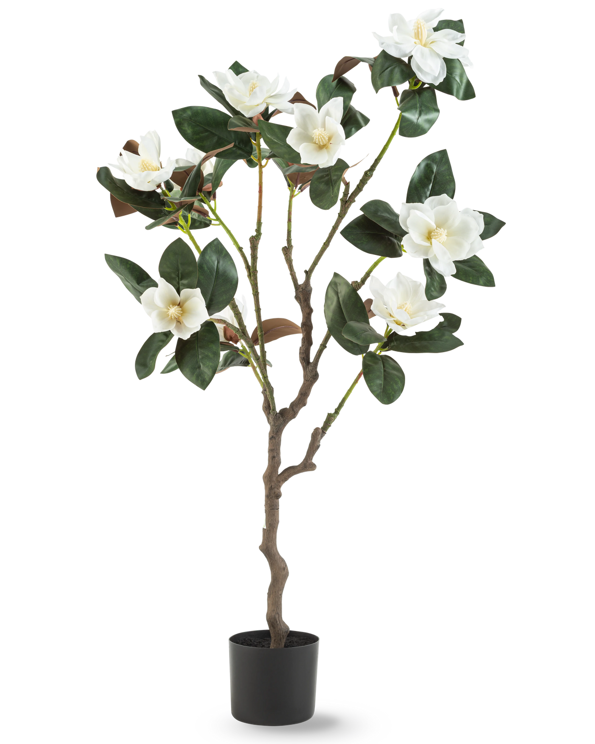De Kunstplant Yulania 120 cm met bloem is een kunstmagnoliaboom in pot met meerdere takken, grote glanzende groene bladeren en verschillende witte bloemen tegen een effen witte achtergrond.