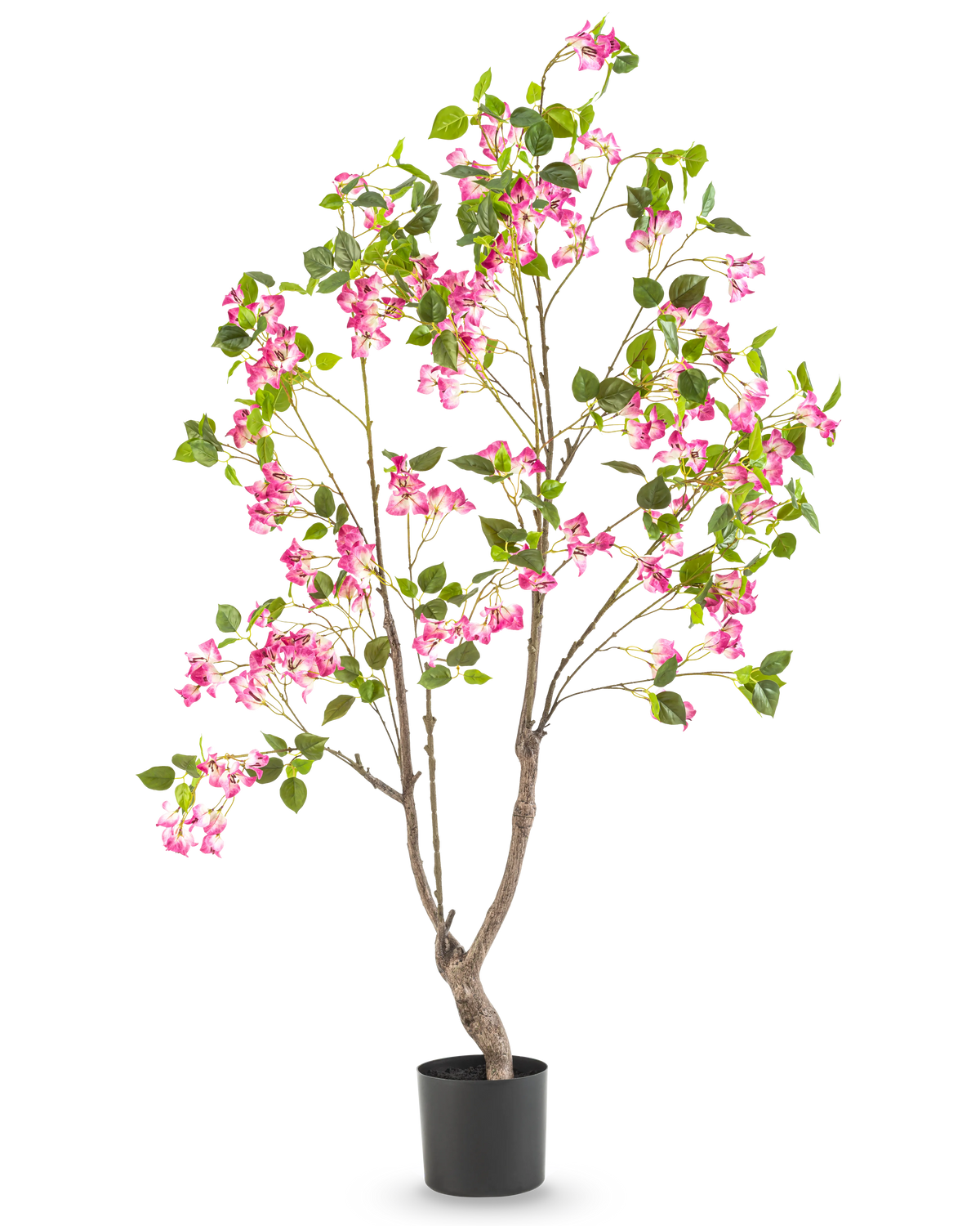 De Kunstplant Bougainvillea 150 cm is een hoge kunstplant met meerdere takken, groene bladeren en levendige roze bloemen in een zwarte pot, tegen een effen witte achtergrond.