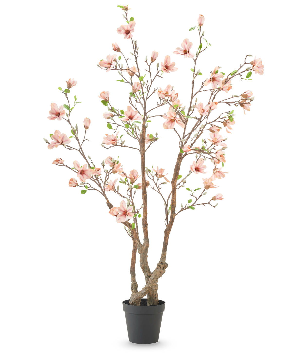 De Kunstplant Magnolia 220 cm is een kunstmagnoliaboom in pot met meerdere bruine takken, lichtroze bloemen en groene bladeren in een eenvoudige zwarte pot tegen een witte achtergrond.