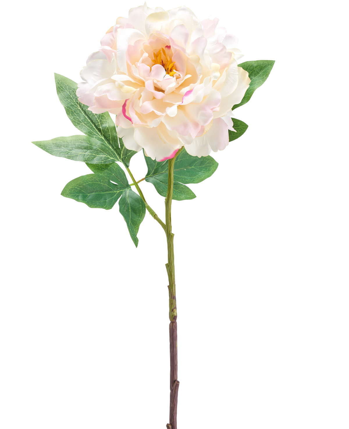 De Kunstbloem Peony 61 cm creme is een enkele kunstmatige lichtroze en crème pioenbloem met groene bladeren en een lange steel, afgebeeld tegen een witte achtergrond.