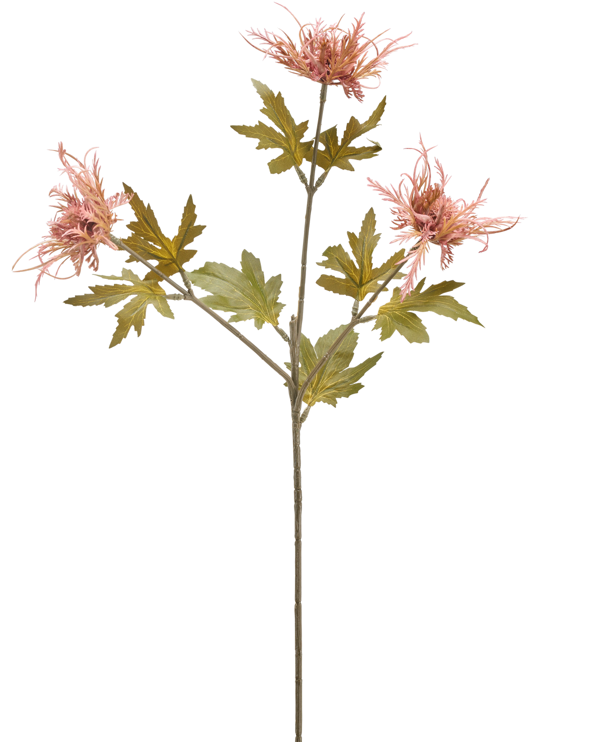 Een enkele stengel van Kunstbloem Distel 60 cm oranje met drie oranje, stekelige bloemen en verschillende gekartelde groene bladeren, geïsoleerd op een witte achtergrond.
