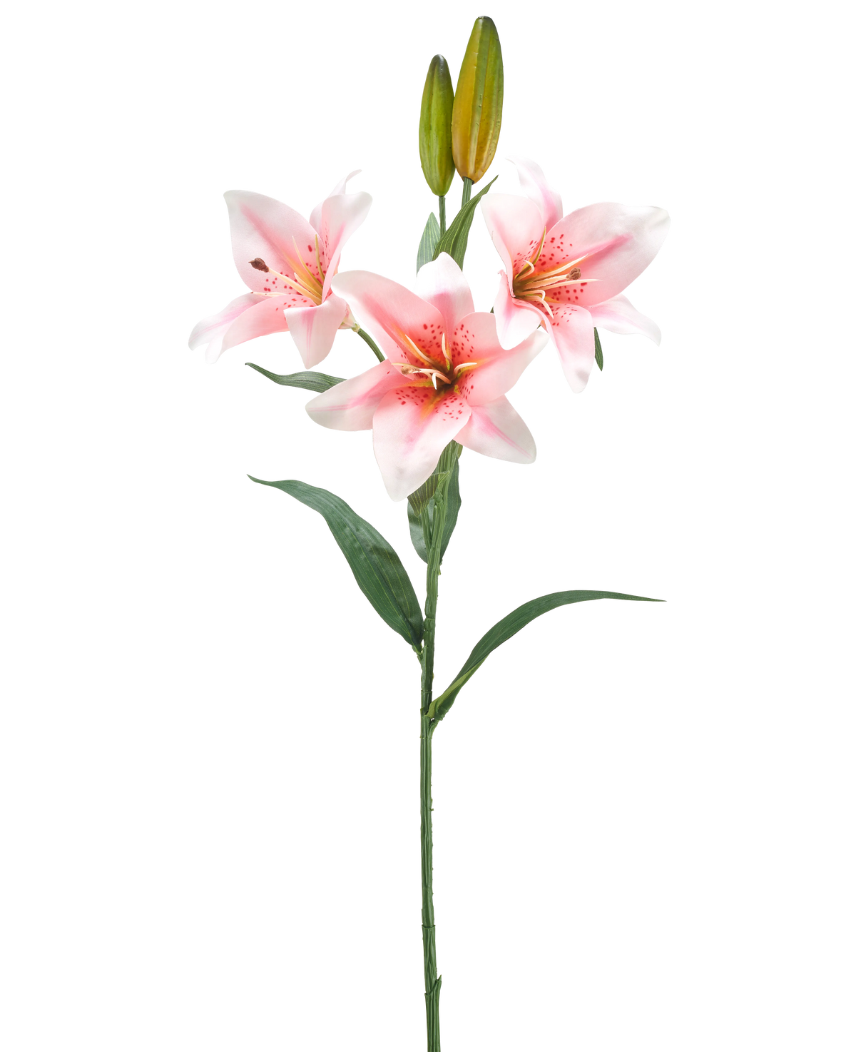 Een enkele steel van Kunstbloem Lelie 78 cm wit/roze heeft drie roze en witte lelies in bloei, twee gesloten knoppen en groene bladeren, tegen een effen witte achtergrond.
