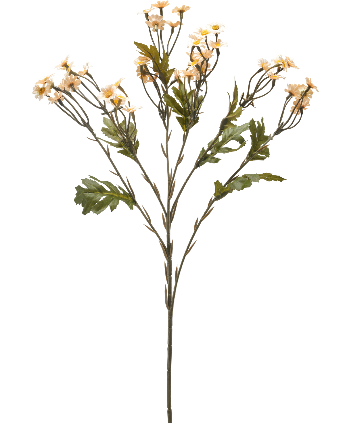 De Kunstbloem Mini Daisy 61 cm creme is een enkele kunstbloemenstengel met meerdere takken, groene bladeren en kleine crèmekleurige margrietachtige bloemen tegen een effen witte achtergrond.