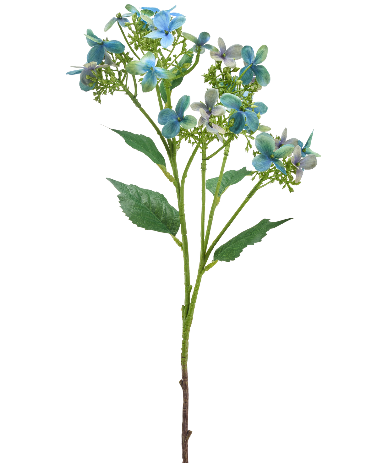 De Kunstbloem Wilde Hortensia 62 cm blauw/groen heeft een enkele kunststengel met trossen blauwe en groene bloemen en enkele groene bladeren, afgebeeld tegen een witte achtergrond.