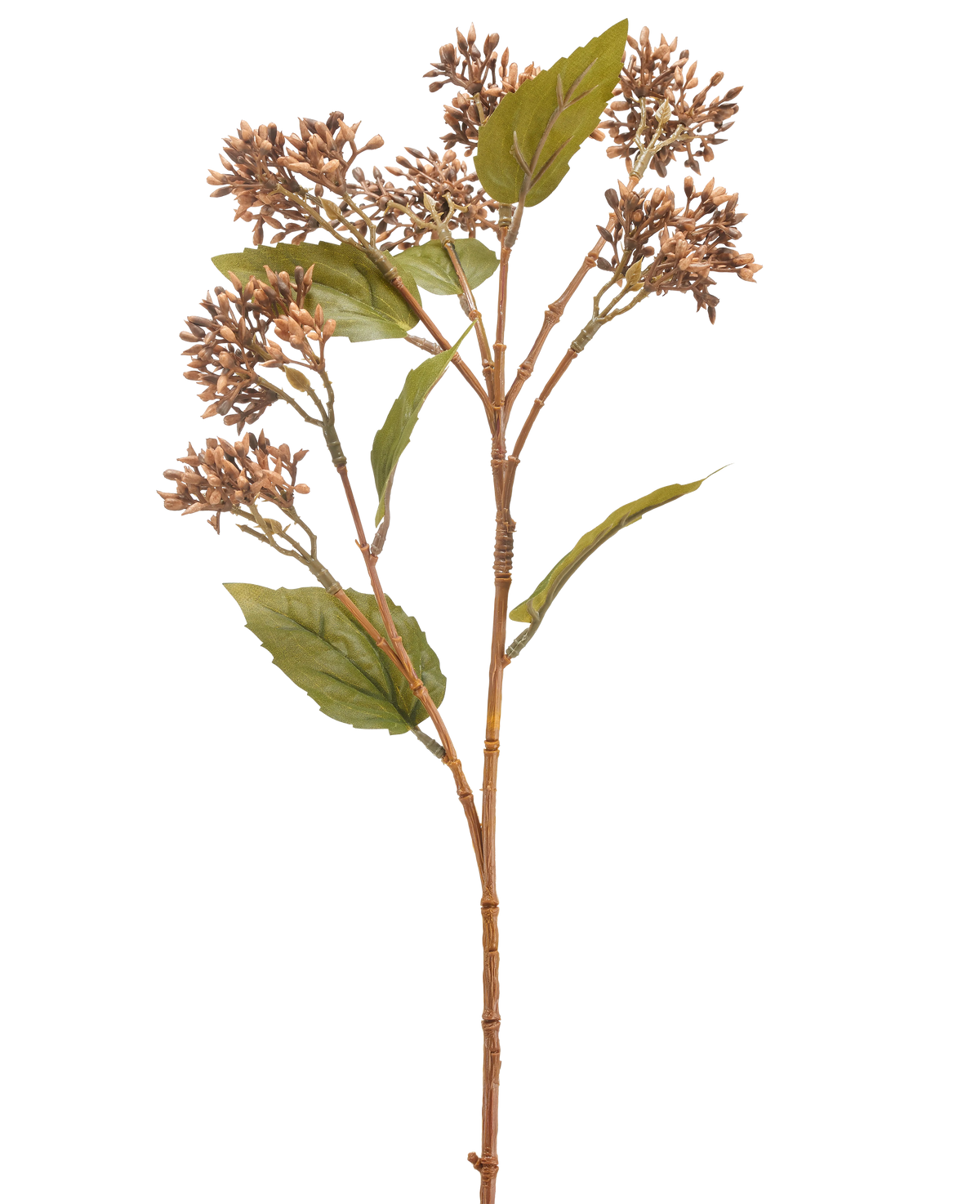De Kunstbloem Sedum 67 cm bruin heeft een enkele bruin met groene kunstplantstengel met trosjes kleine bruine knoppen en verschillende groene bladeren, geïsoleerd op een witte achtergrond.