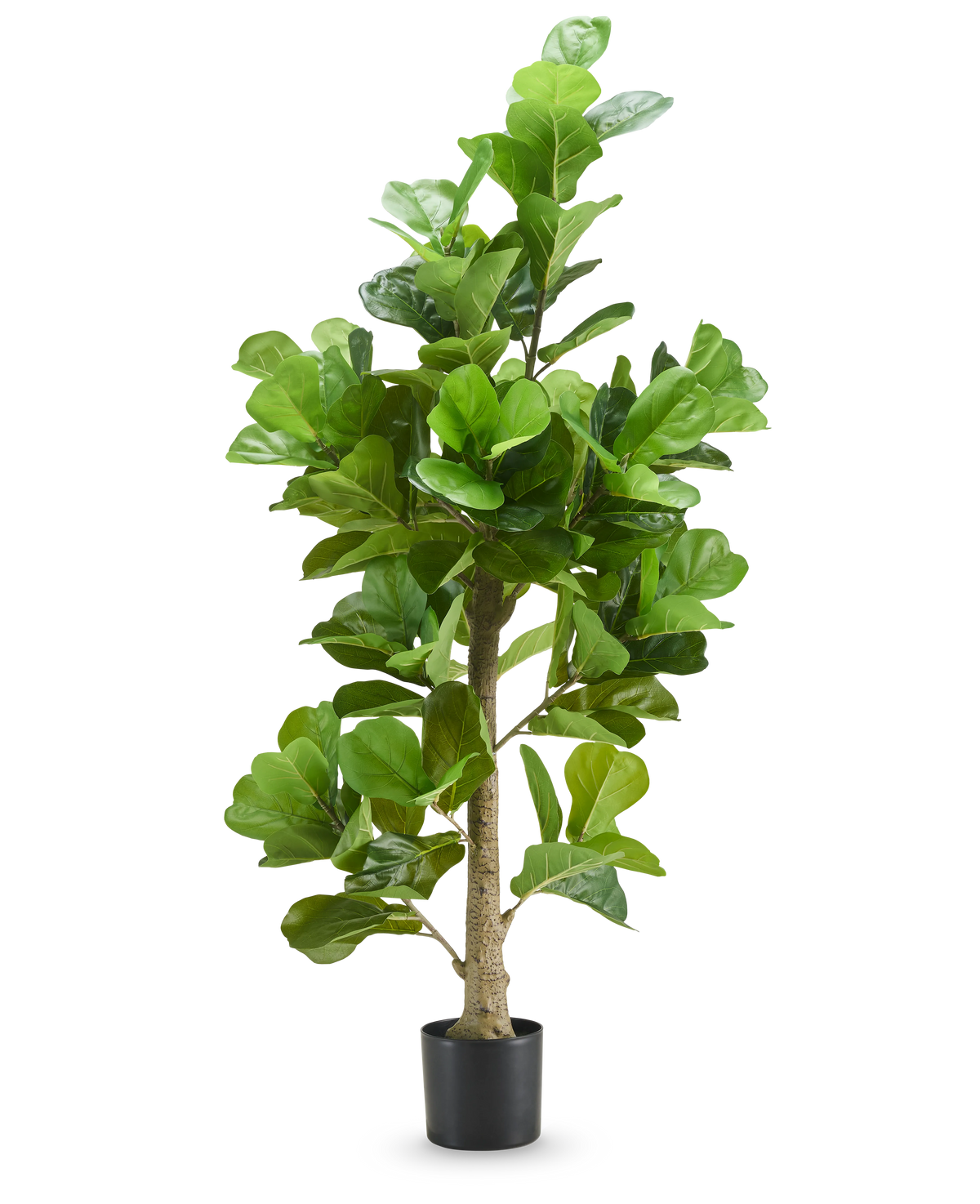 De Kunstplant Tabaksplant 180 cm heeft hoge, brede groene bladeren en wordt geleverd in een zwarte pot, tegen een effen witte achtergrond.