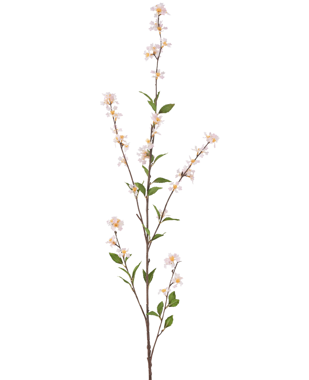 De Kunstbloem Bloemen 119 cm blush is een hoge, slanke kunsttak met delicate witte bloesems en groene bladeren over de hele lengte, tegen een effen witte achtergrond.