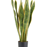 Kunstplant Vrouwentong 70 cm: een kunstmatige sansevieria met lange, bontgroene bladeren en gele randen, geplant in een eenvoudige zwarte pot als onderhoudsvrij accent.
