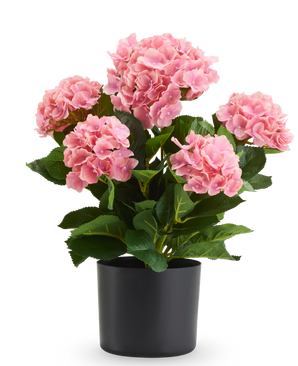 Kunstplant Hortensia UV, 50 cm, lichtroze, in een zwarte pot.
