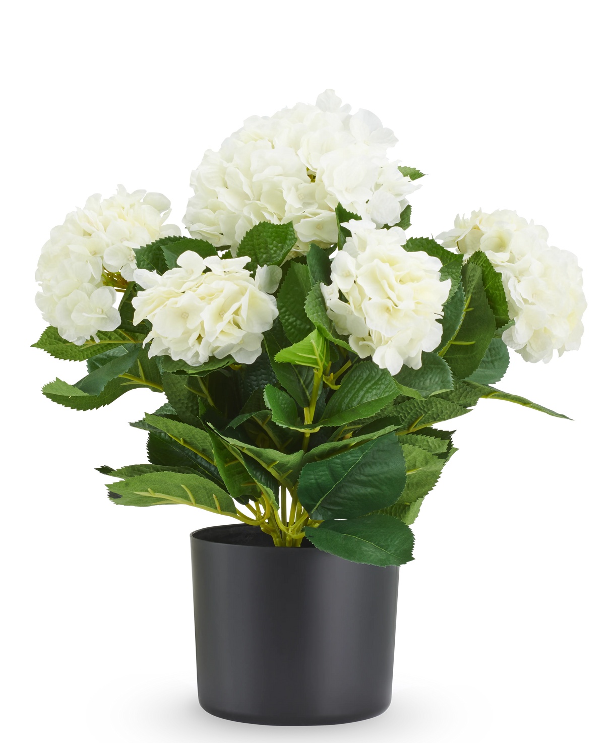 Kunst Hortensia UV 50 cm wit, een kunstmatige witte hortensia in een zwarte pot.
