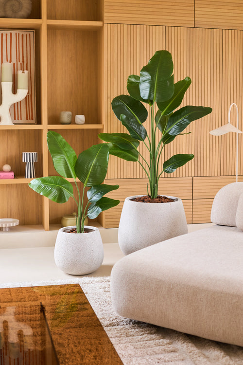 Twee kunstplanten van 150 cm, het type Strelitzia, met een realistische uitstraling, in lichtgekleurde, gespikkelde potten, geplaatst in een woonkamer.