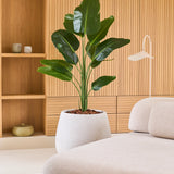 Kunstplant Strelitzia 150 cm: een levensechte kunstplant met brede groene bladeren in een gespikkelde, ronde plantenbak.