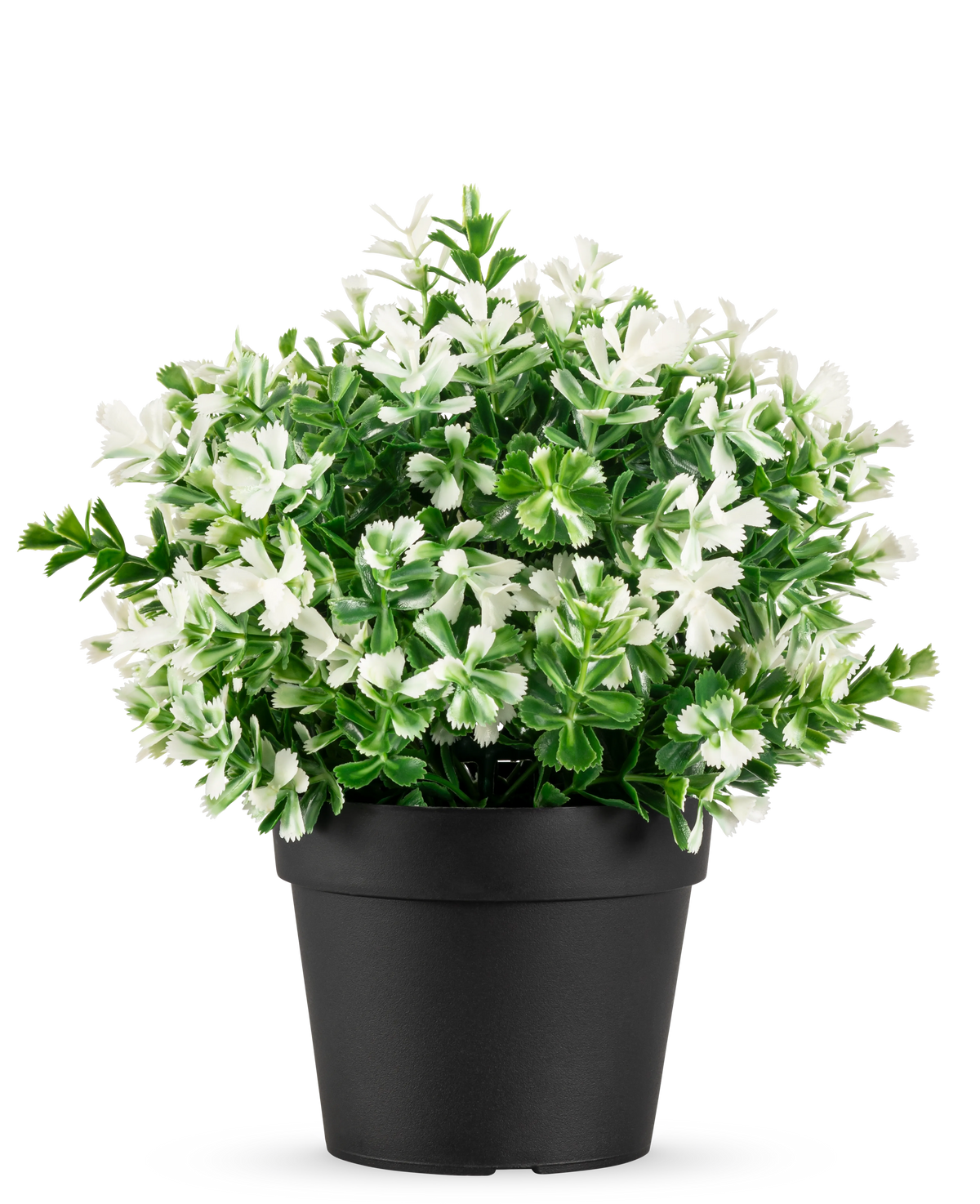 De Kunstplant Klavertje vier wit UV 22 cm is een zwarte bloempot met kunstmatige groene bladeren en kleine witte bloemen op een effen witte achtergrond.