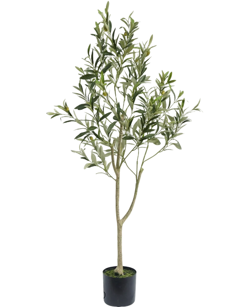 De Kunst Olijfboom 120 cm heeft slanke takken en groene bladeren in een eenvoudige zwarte pot, ideaal als decoratief element voor een mediterrane sfeer op een witte achtergrond.