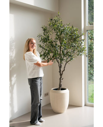 Kunst Olijfboom 200 cm