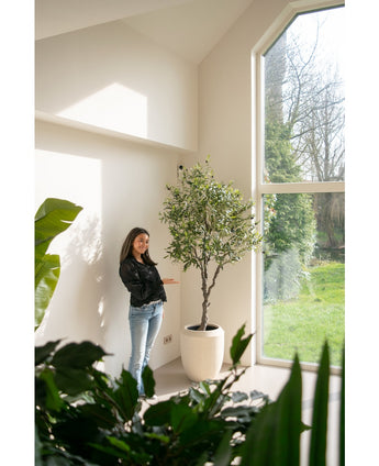 Kunst Olijfboom 200 cm