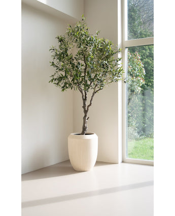 Kunst Olijfboom 200 cm