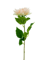 Kunstbloem Dahlia Real Touch champagne 54 cm