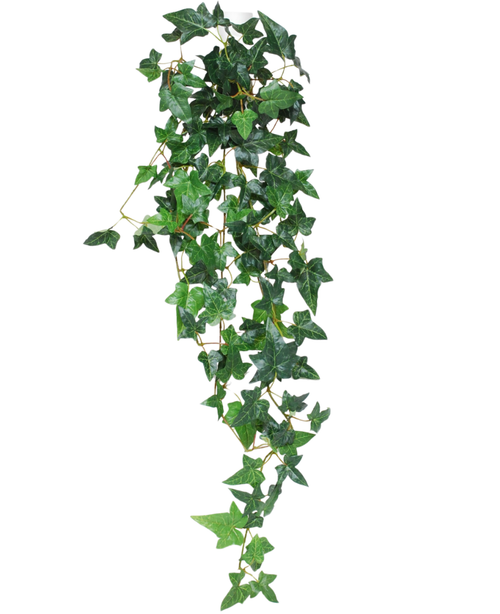 De Kunst hangplant Klimop Boston 100 cm groen heeft puntige groene klimopbladeren op dunne stengels, die naar beneden vallen tegen een witte achtergrond.