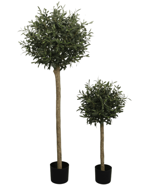 De Kunst olijfboom UV 150 cm is een kunstolijfboom in pot met een ronde, bladgroene top en een lange, dunne stam. UV-bestendig en gepresenteerd in een zwarte pot, steekt hij af tegen een effen witte achtergrond.