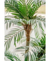 Kunstpalm Cycas Classic 135 cm