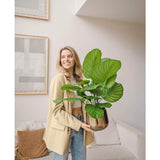 Een vrouw glimlacht terwijl ze een grote Kunstplant Calathea Fasciata UV van 70 cm in een pot vasthoudt; ze staat in een moderne woonkamer met beige meubels en abstracte wandkunst.