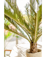 Kunstplant Cycus Palm Deluxe 95 cm