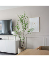 Kunstplant Enkianthus 180 cm