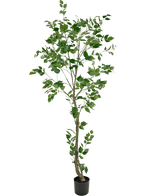 Kunstplant Ficus 210 cm