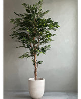 Kunstplant Ficus Groen 180 cm