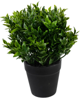 Kunstplant Groen 20 cm in pot