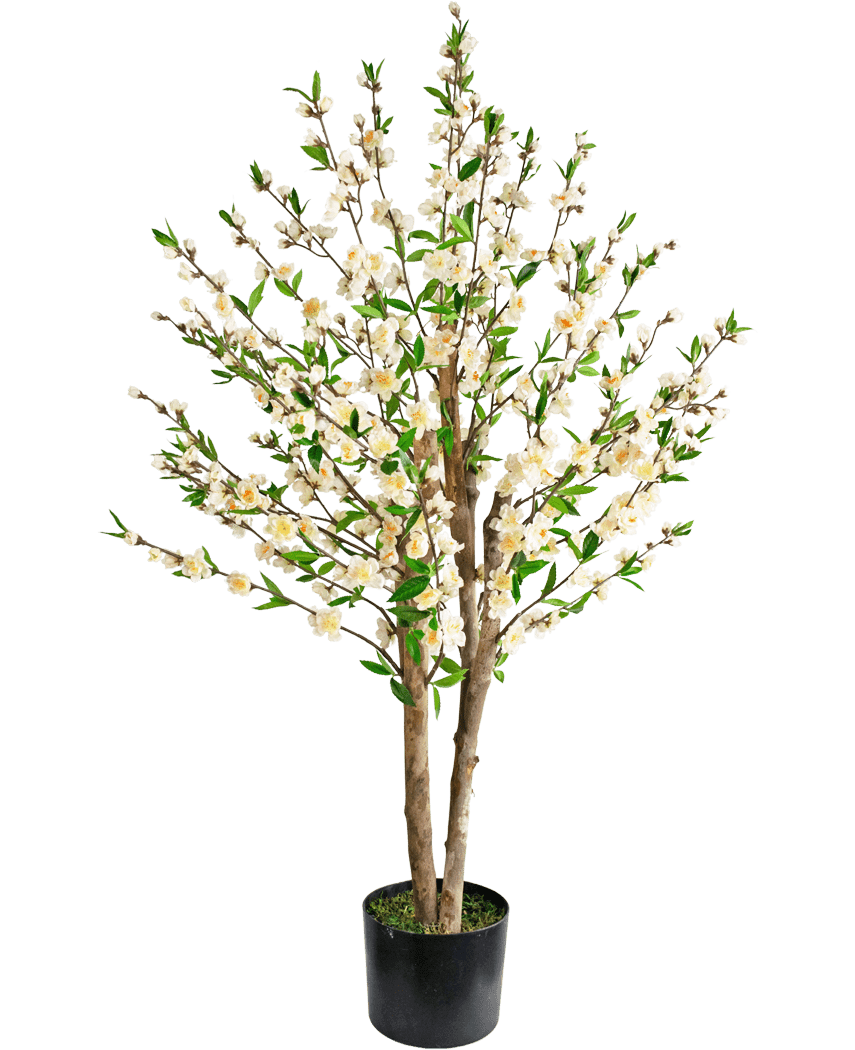 De Kunstplant Kersenbloesem 120 cm crème is een kunstmatige kersenbloesemboom in pot met meerdere bruine stammen, groene bladeren en trosjes kleine witte bloemen tegen een effen witte achtergrond.