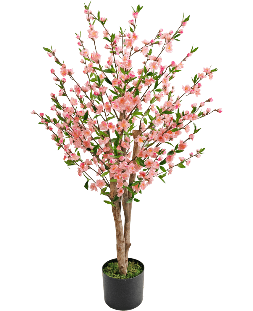 De Kunstplant Kersenbloesem 120 cm roze heeft meerdere bruine stammen met roze bloesem en groene bladeren, in een zwarte pot met groen mos aan de basis, tegen een witte achtergrond.