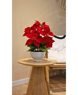 Kunstplant Kerstster 44 cm rood