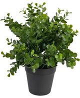 Kunstplant Pumila 25 cm