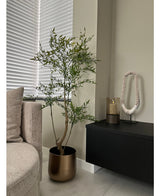 Kunstplant Ruscus 120 cm